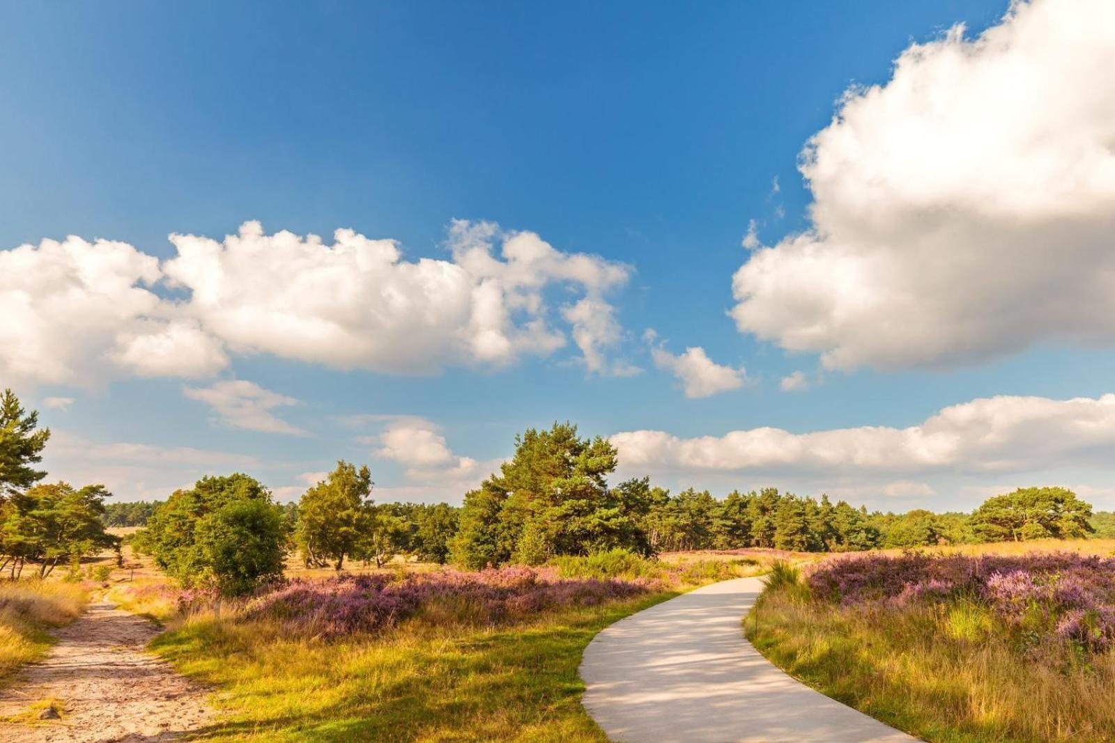 Top Luxe Chalet - Kindvriendelijk - Bos En Heide Harderwijk Dış mekan fotoğraf